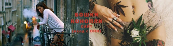 трава Белокуриха