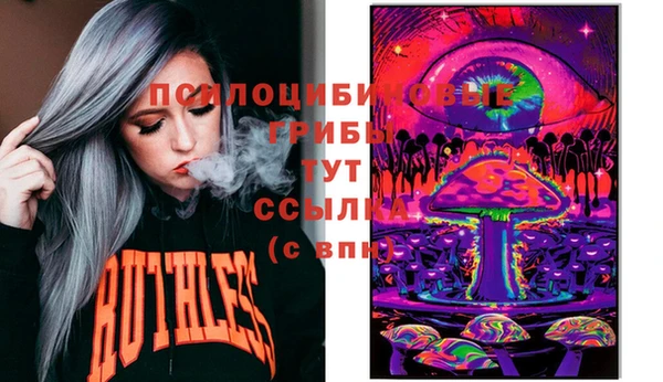трава Белокуриха