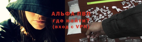 трава Белокуриха