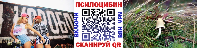 Псилоцибиновые грибы мицелий  Южноуральск 