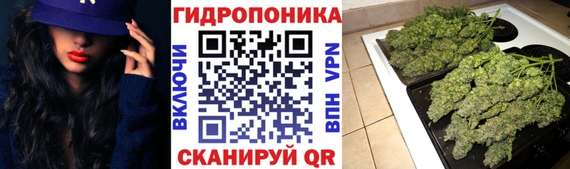 купить наркоту  Южноуральск  Бошки марихуана конопля 